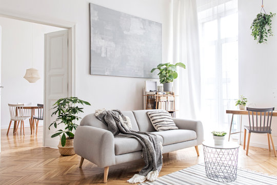 Before: Scene with plants